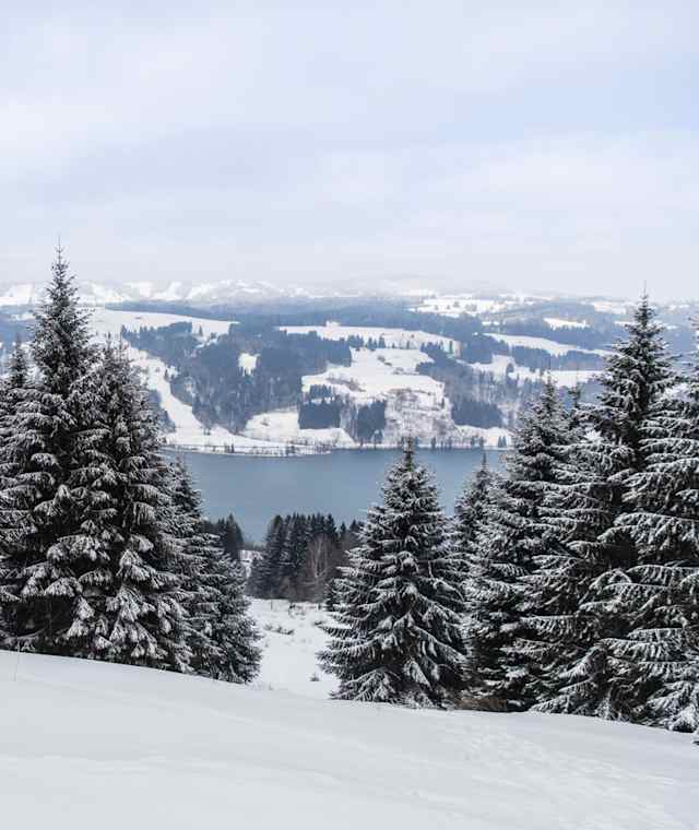 Allgäu im Winter - mit Blick auf den Alpsee