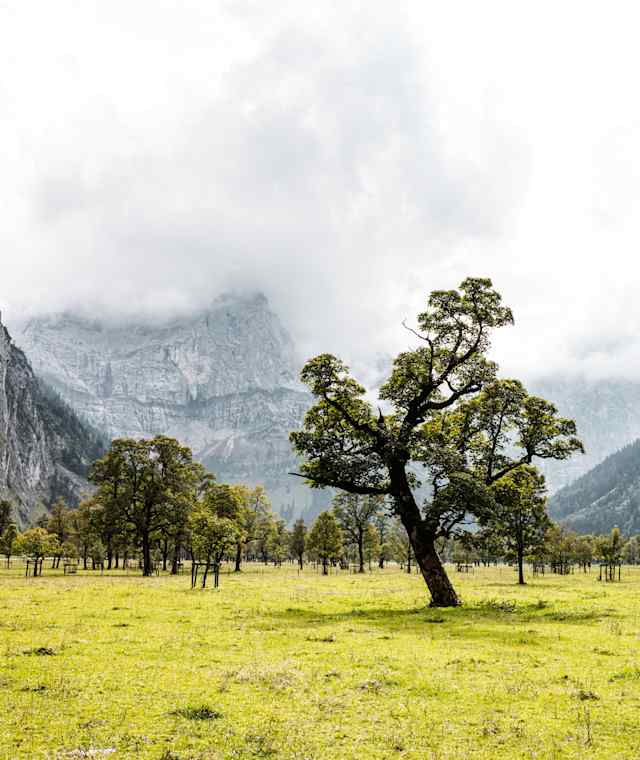 Der Ahornboden im Karwendel