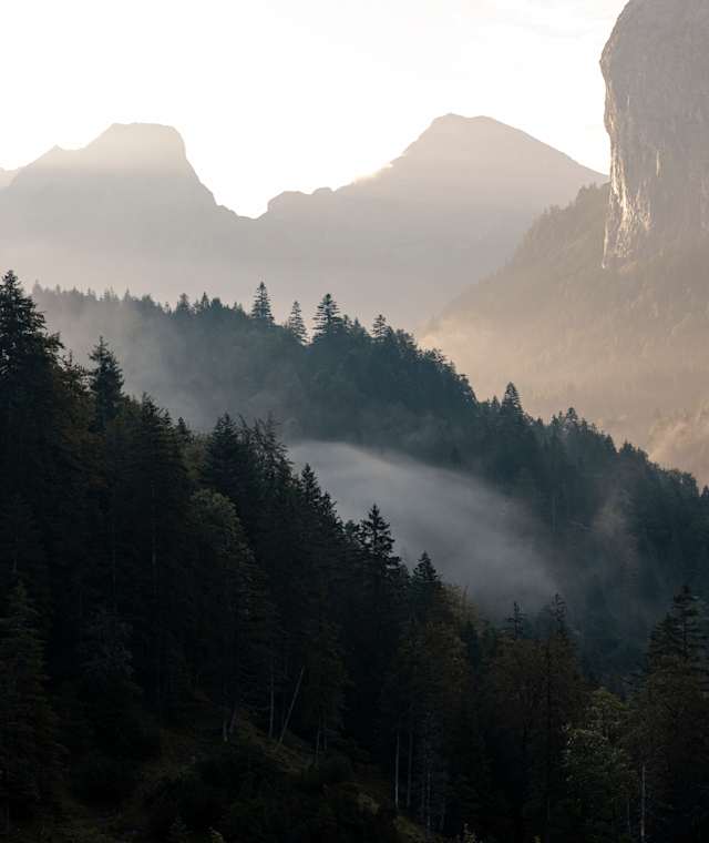 Morgenstimmung im Rißtal