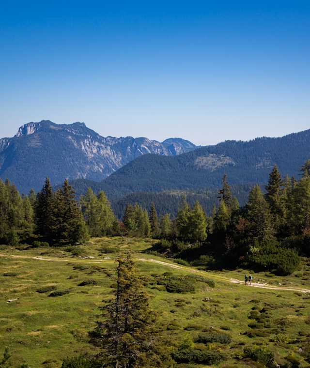Höhenwanderweg "Oben ummi"