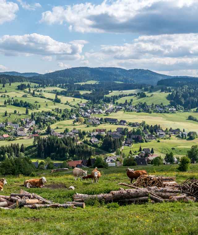 Panoramablicke vom Bernauer Hochtal Steig