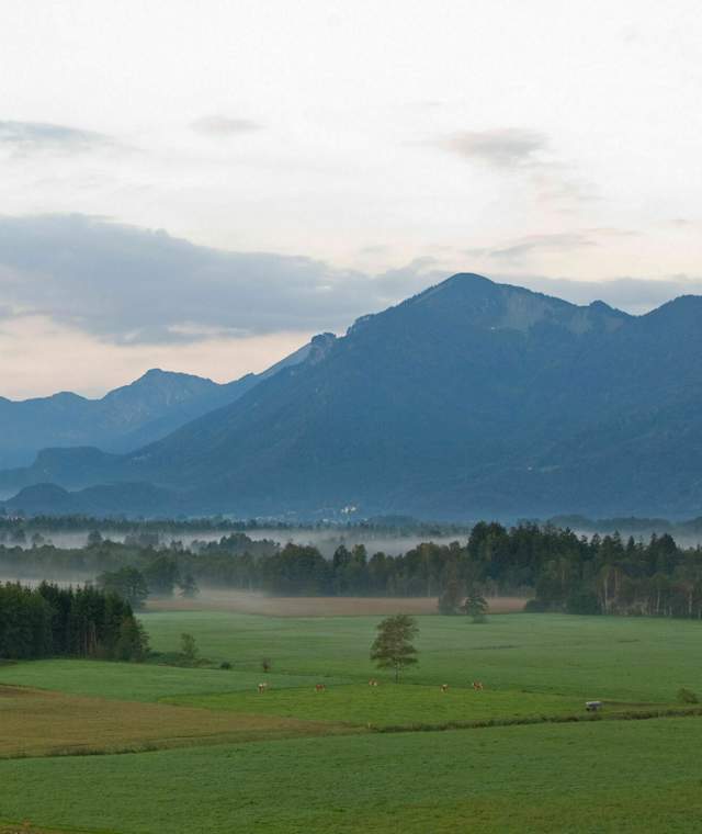 Blick von Bernhaupten ins Bergener Moos