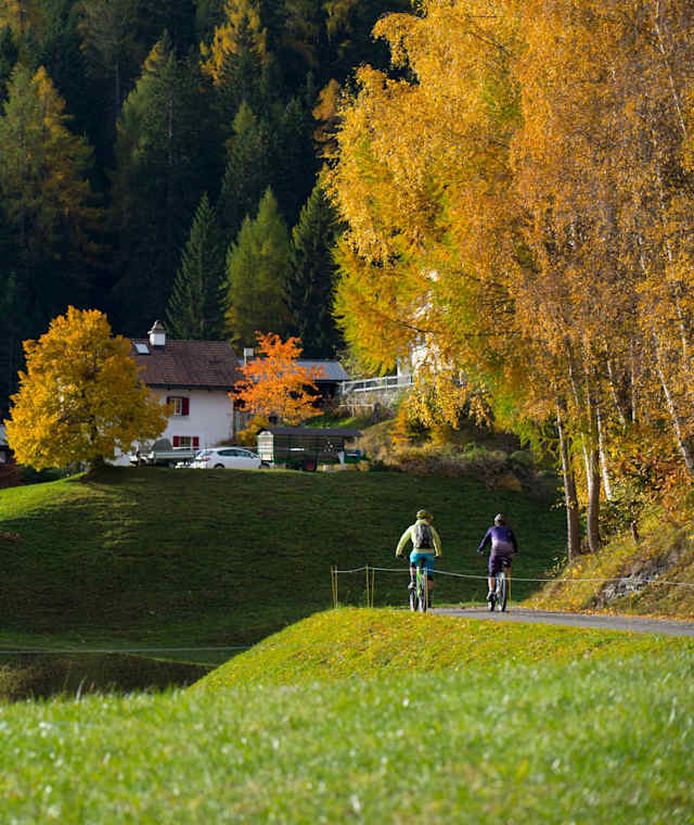 Biketicket to Ride (blau)