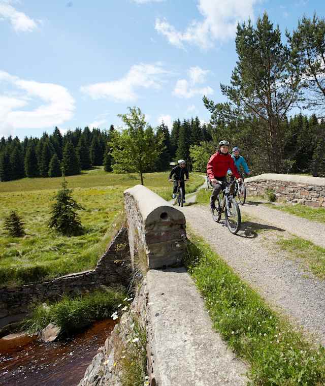 Am Neugrabenweg bei Pobershau Kühnhaide