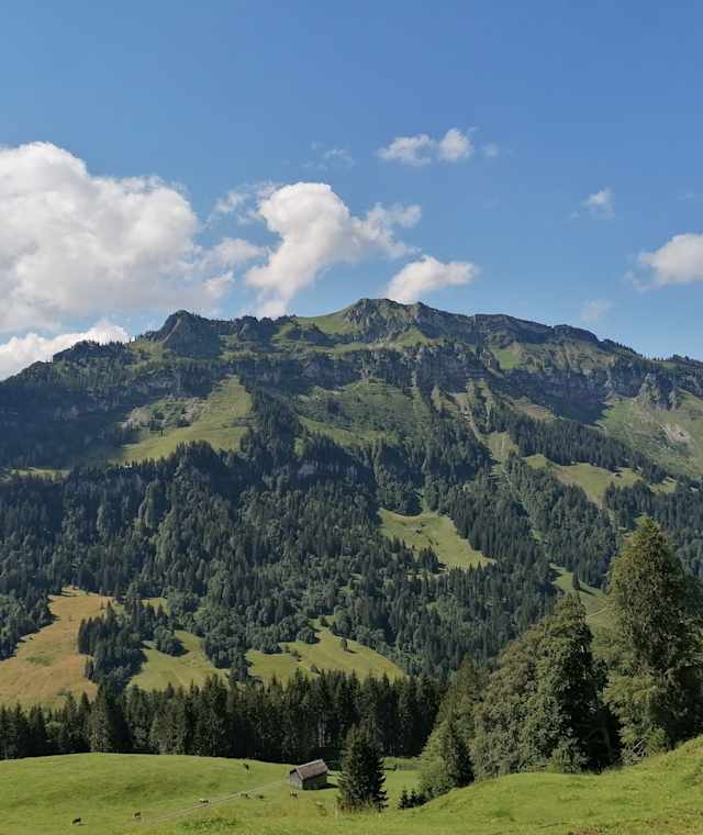 Blick auf den Hirschberg