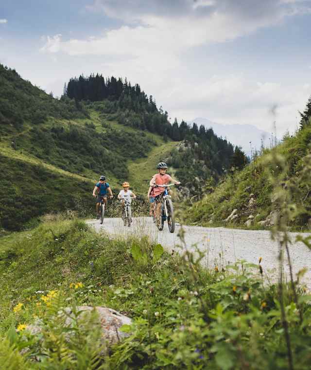 Bike and Hike zum Sattelkopf