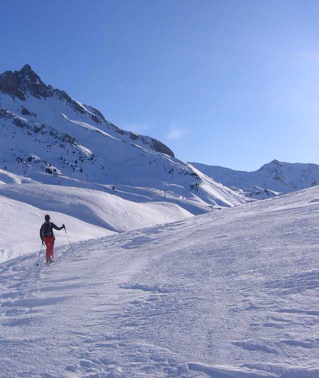 Blick auf das Auenfeld (von Norden)