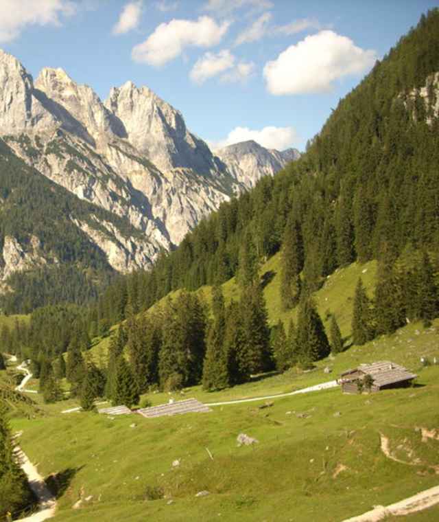Die Bindalm