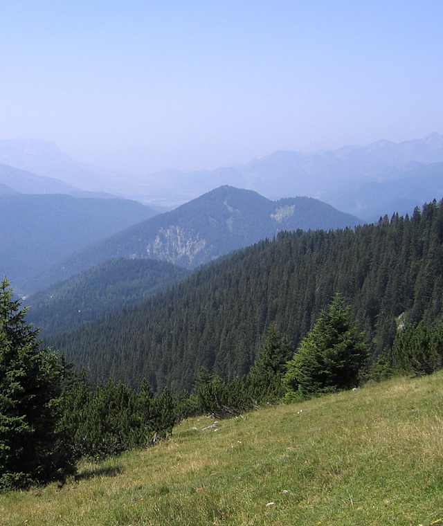 Reit_070715_193a