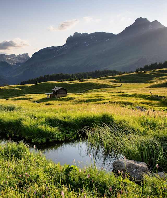 Die wunderschöne Aussicht von der Alp Flix aus.