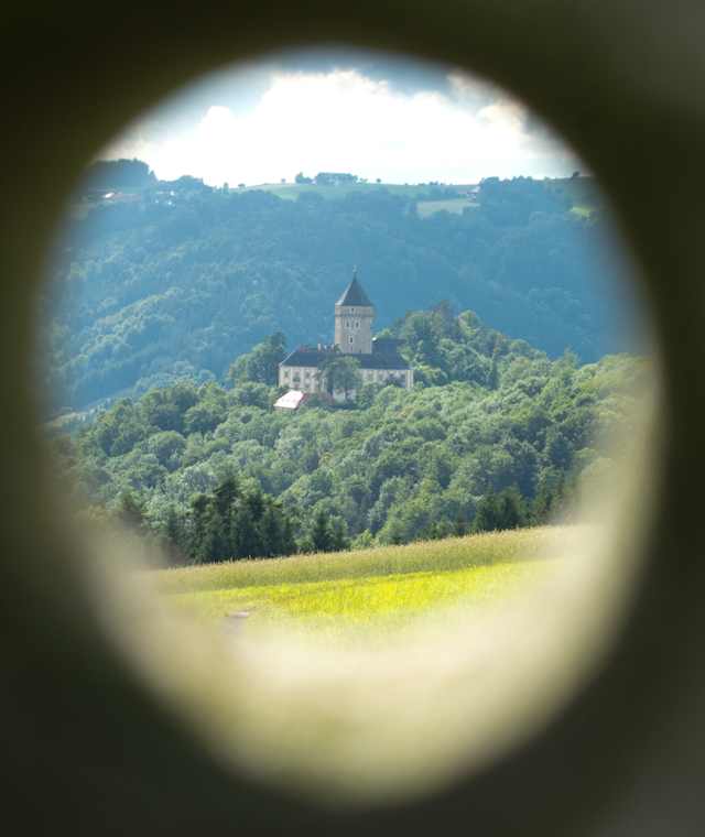 Blick auf das Schloss Neuhaus an der Donau