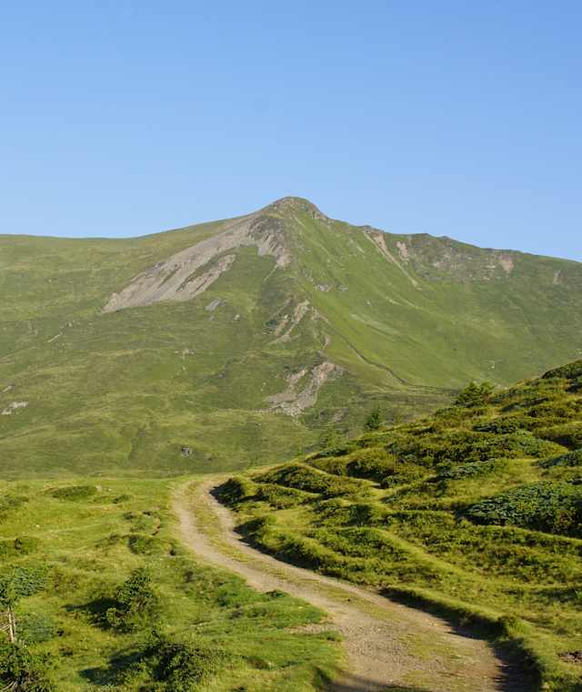 Blick auf den Gernkogel aus Richtung Hochsonnbergalm