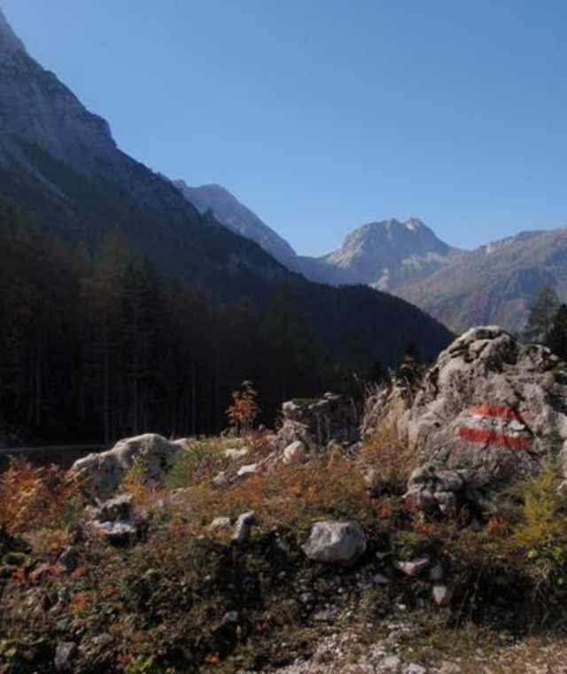 Blick auf den Hainschsattel