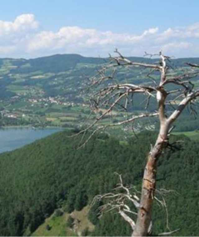 Blick auf den Stubenbergsee