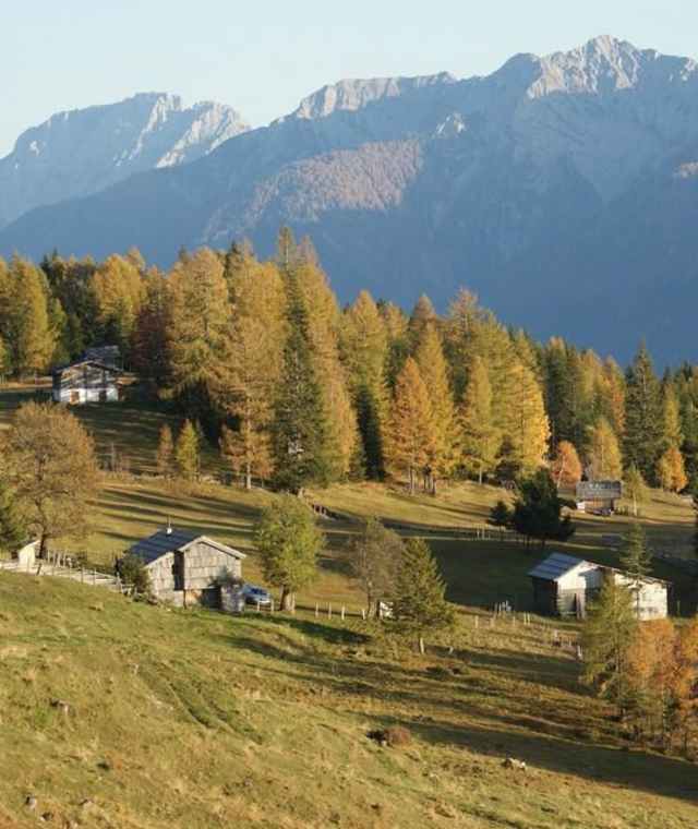 Blick auf die Mooswiesen