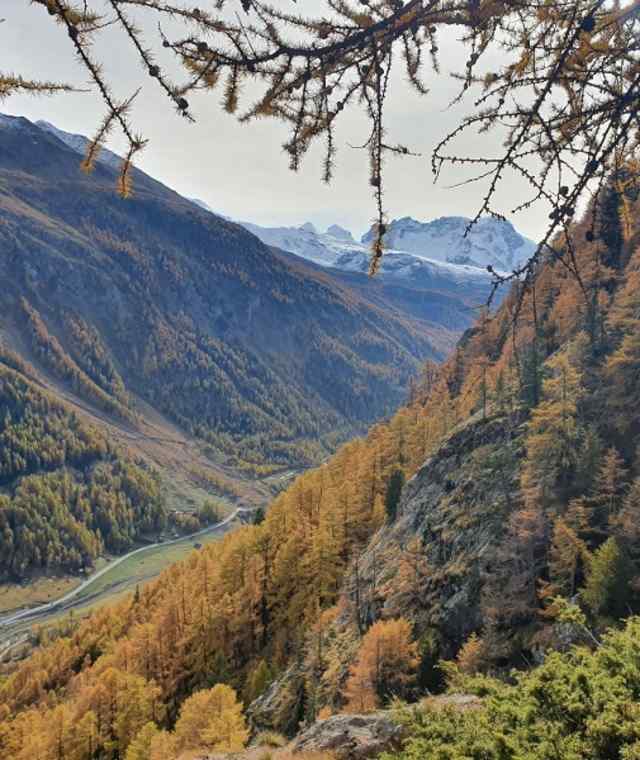 Unterwegs Blick ins Tal und weiter hinten aufs Breithorn (4'164 m) 