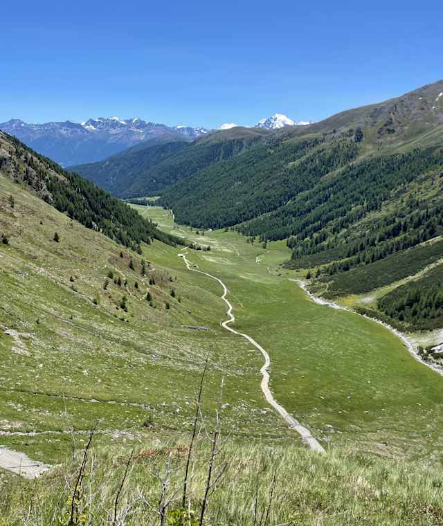 Blick ins Schlinigtal mit Ortler im Hintergrund 