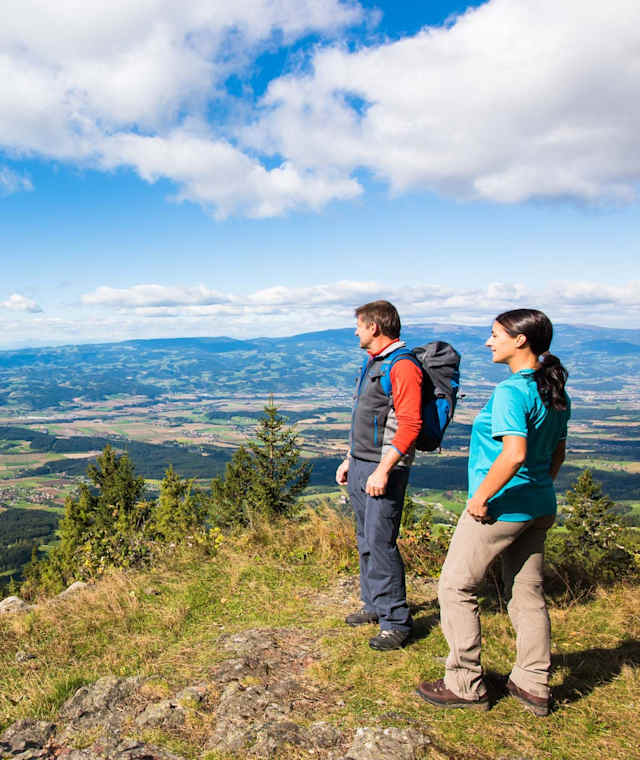 Blick vom Kärntner Brandl ins Lavanttal