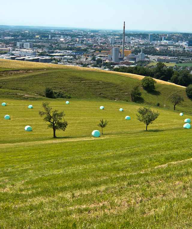 Blick vom Pfenningberg auf Linz