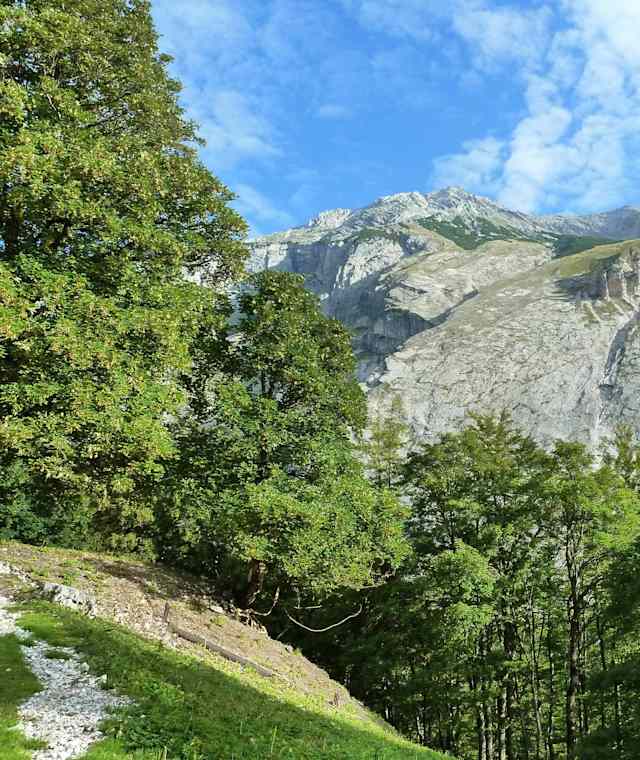 Blick ins Halltal von St. Magdalena