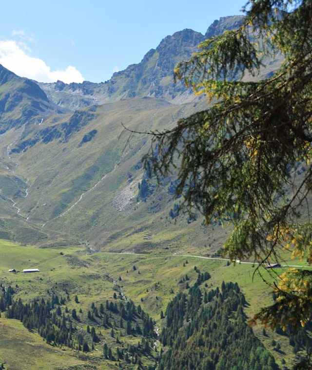Schefalm in Praxmar