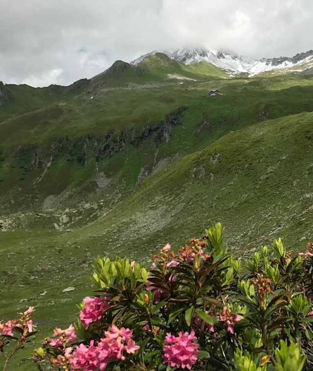 Blick zurück auf die Karl-von-Edel-Hütte