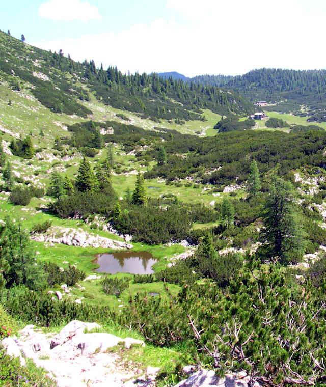 Blick über die weitläufige Reiter Alm