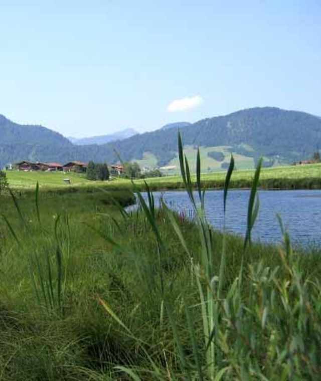 Blindauer Weiher
