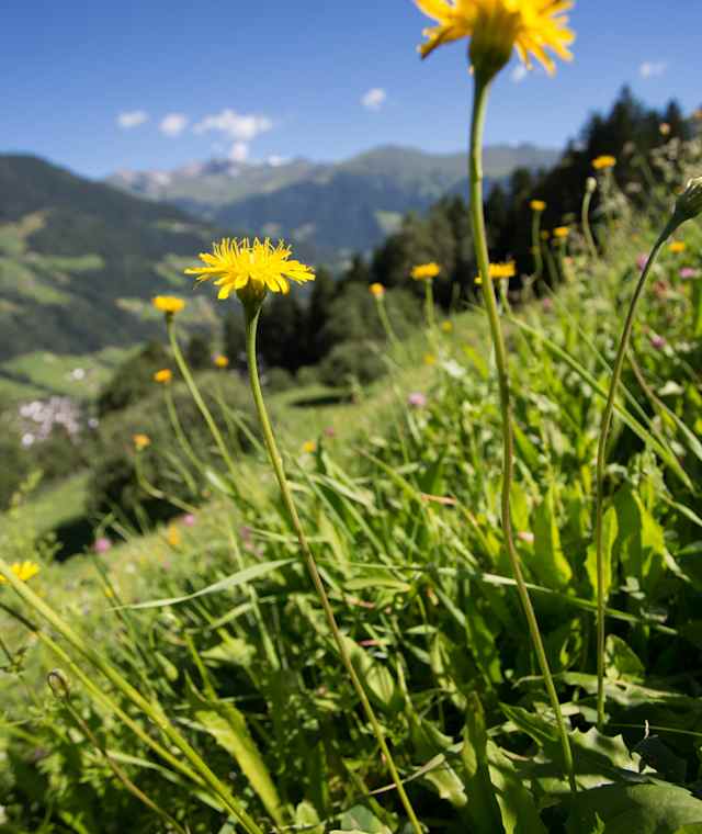 Am Teufelsteinweg