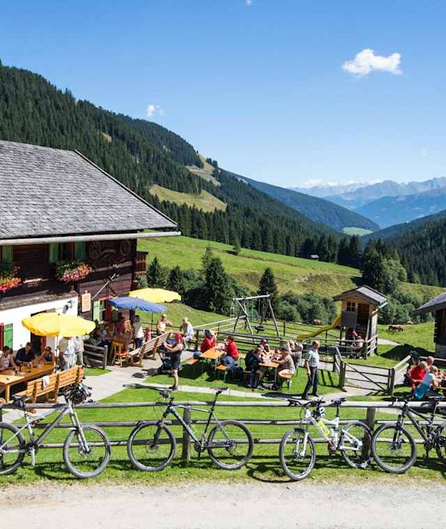 Die Baumgartenalm