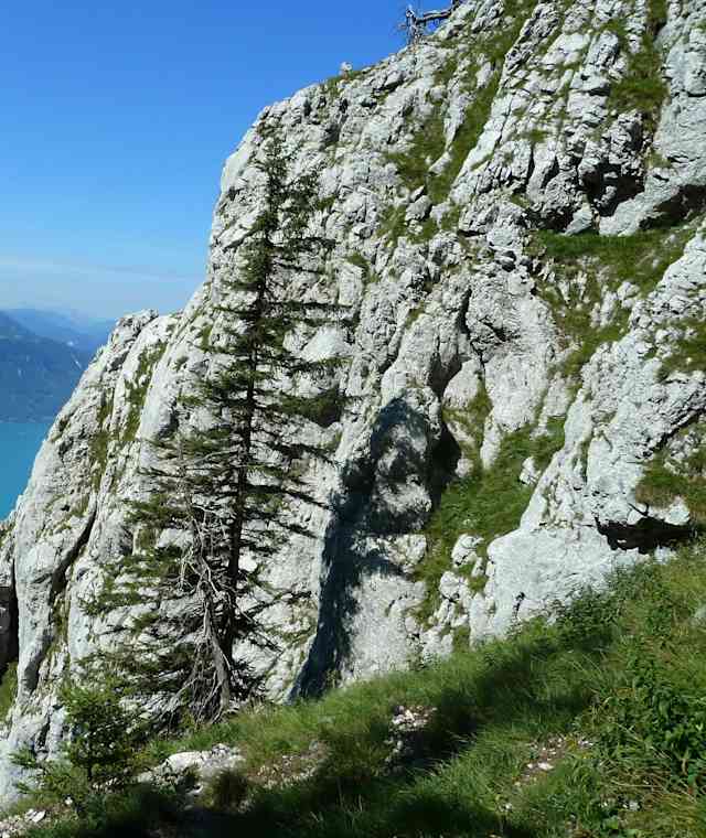 In der Brennerriese
