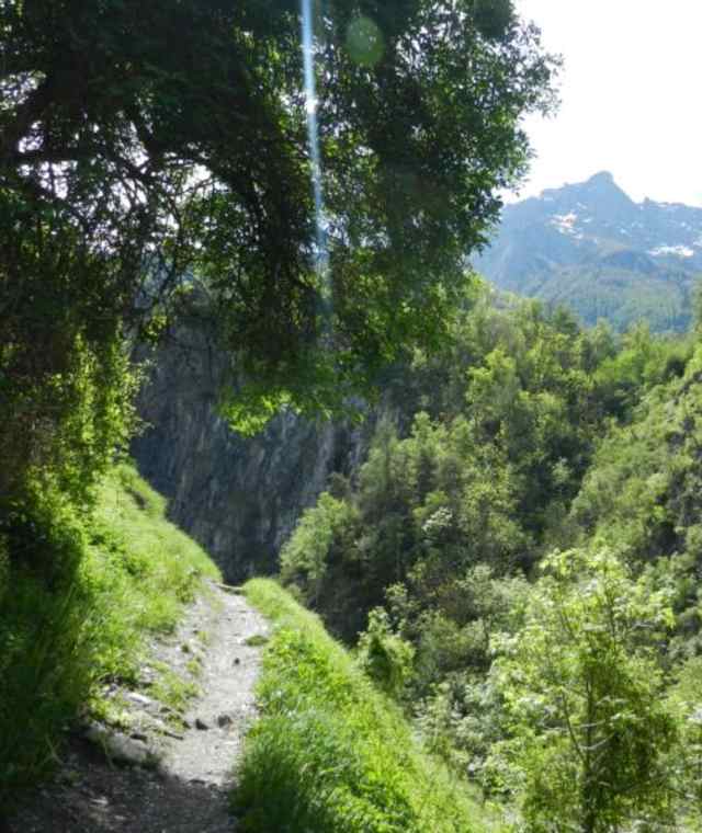 Brig - Suone Bärgeri
