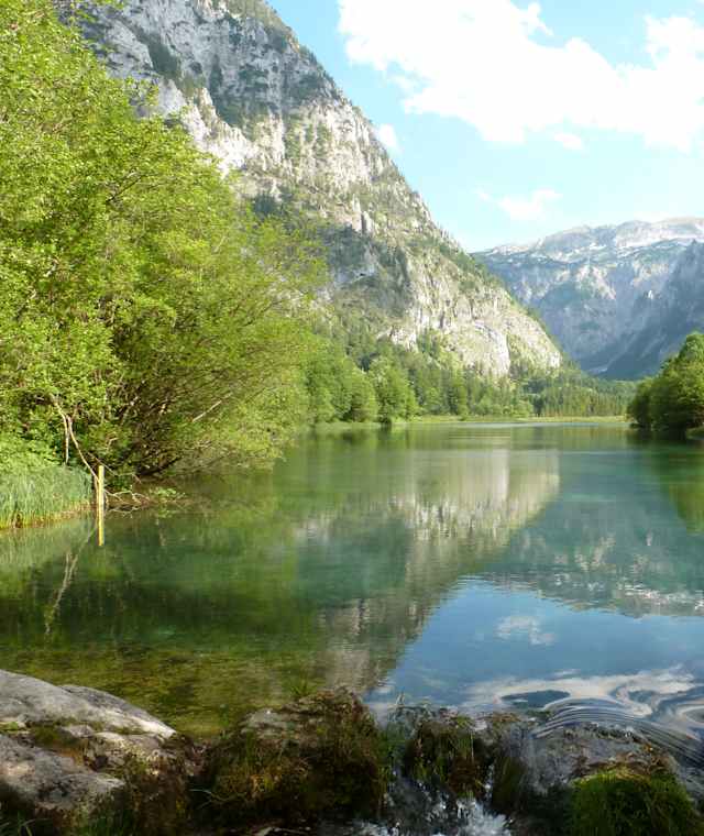 Das Quellschutzgebiet Brunntal