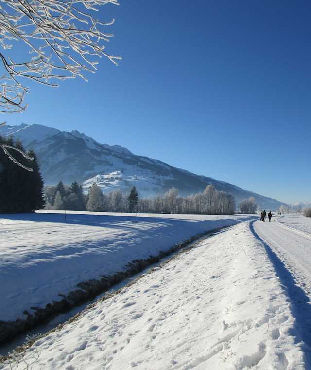 Brunnwiesenweg