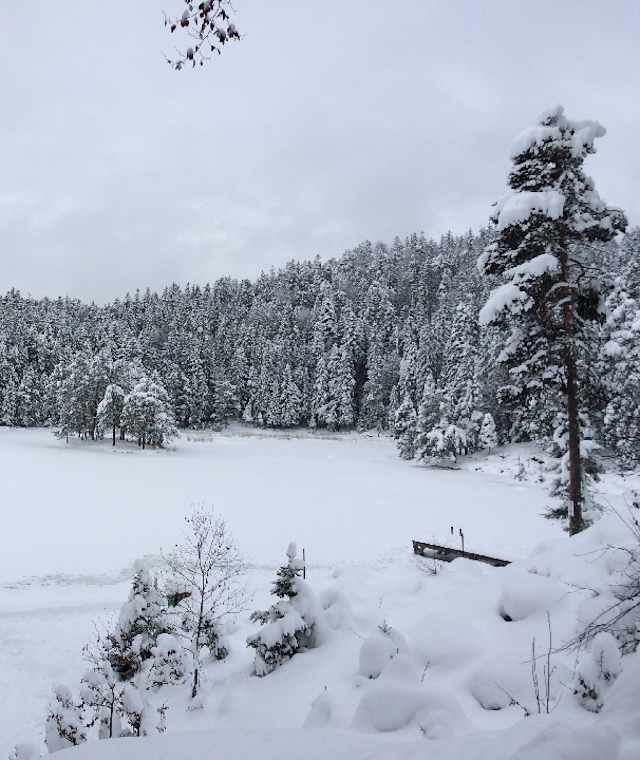 Abzweigung Möserer See