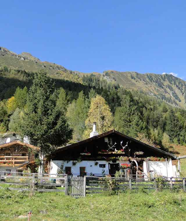 Steinalm