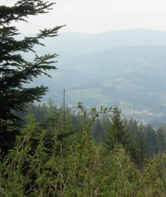 Buchkogelrunde