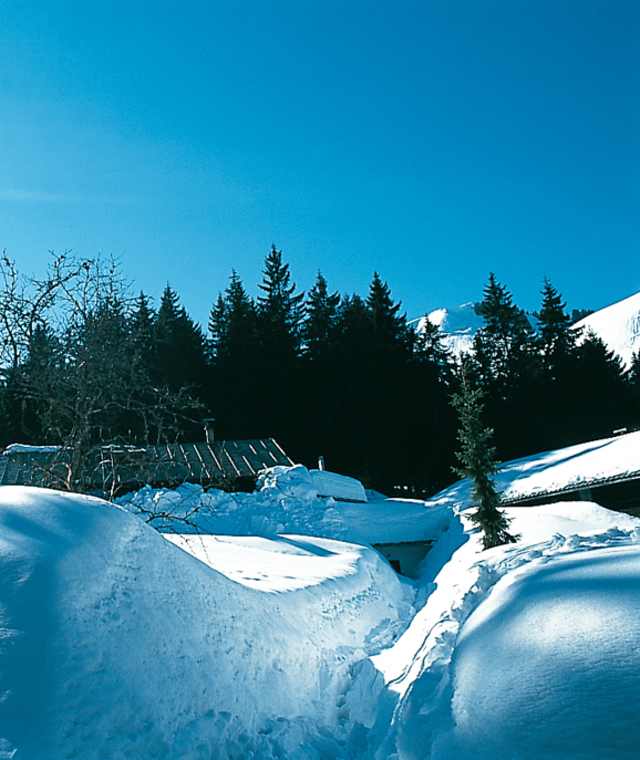 Versteckt: die Buchsteinhütte