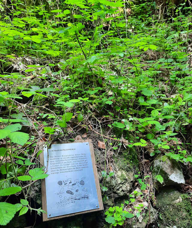 Informationstafeln in der Bürser Schlucht