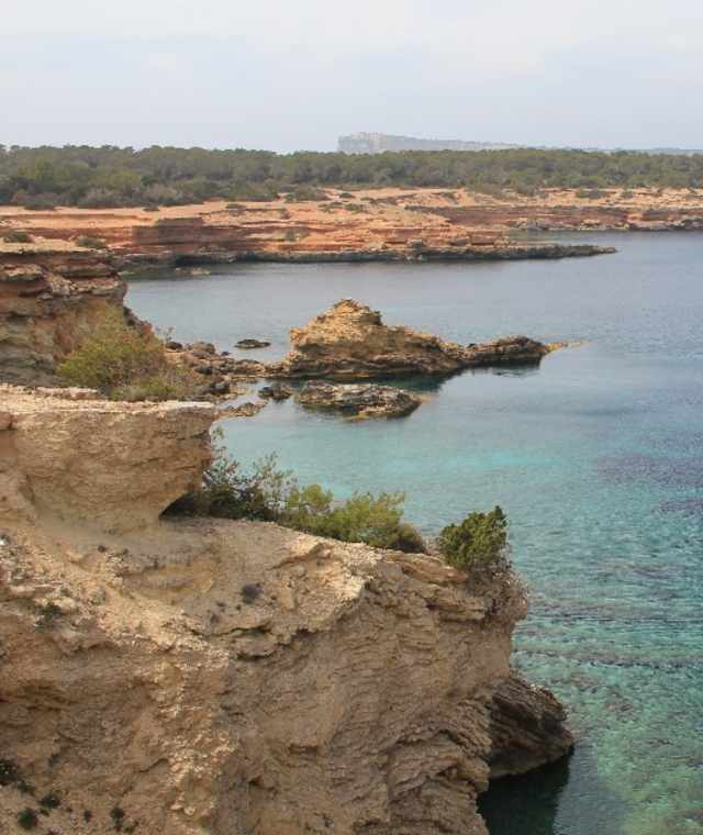 Cap de la Bassa