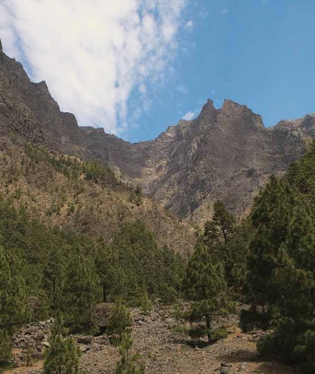 Mirador de Lomo del Tagasaste