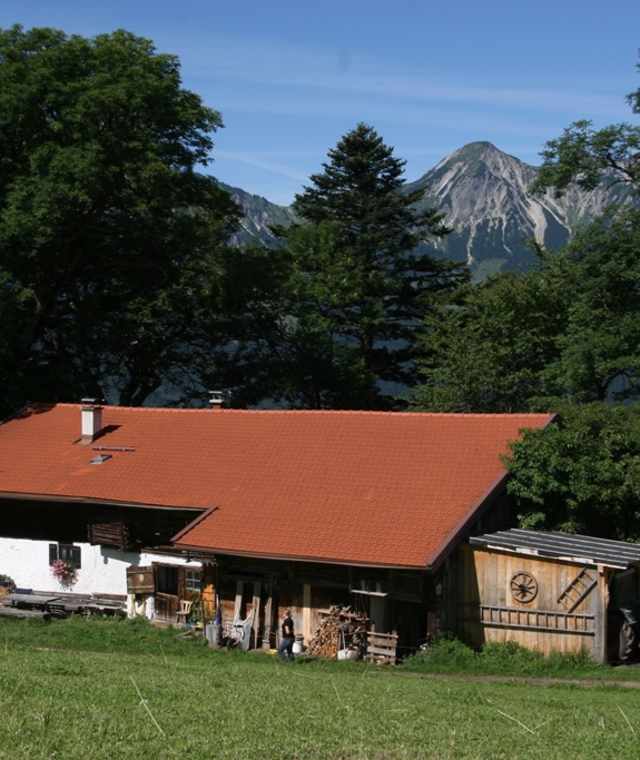 Chiemhauser-Alm