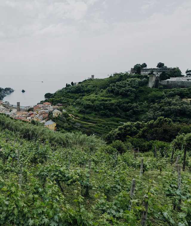 Weingut "Buranco" in Monterosso al Mare
