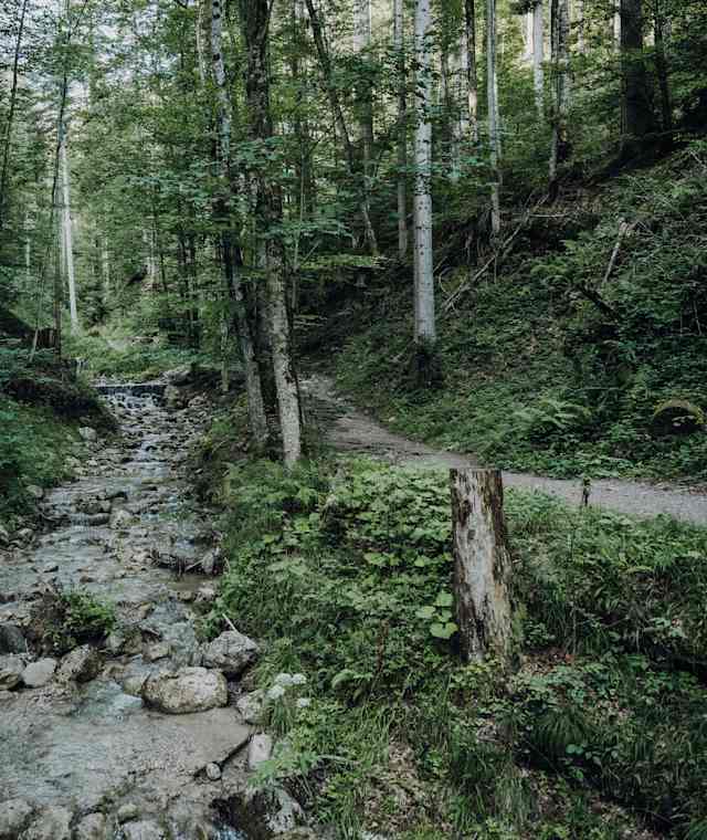 Wanderung durch die Rehbacklamm