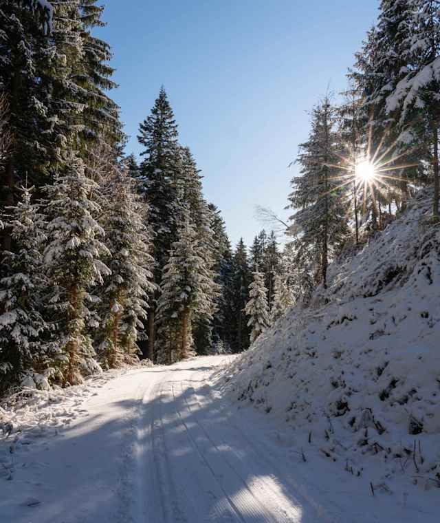 Am Weg zum Latschenstüberl Mandlberggut
