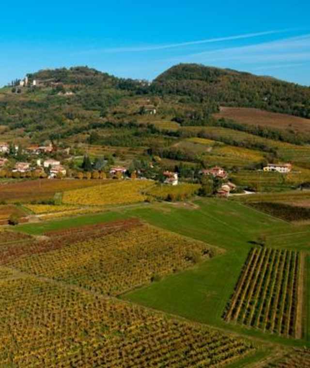 Collio