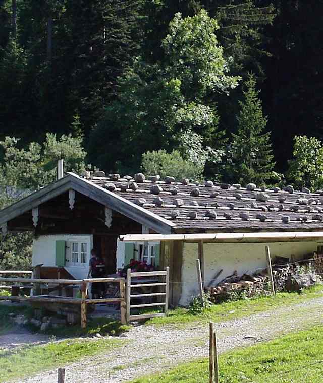 dalsenalm-bichl
