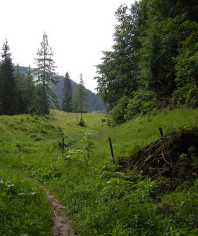 Almgelände