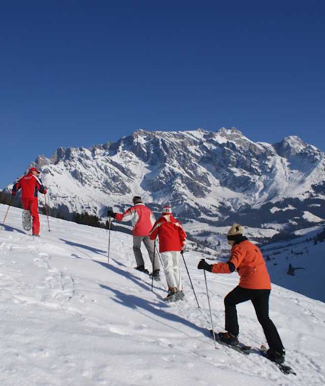 Auf dem Weg nach Oberfallersberg - auch mit Schneeschuhen möglich