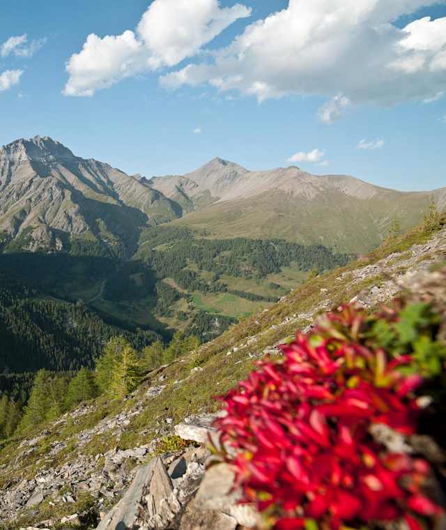 Der imposante Piz Tschütta